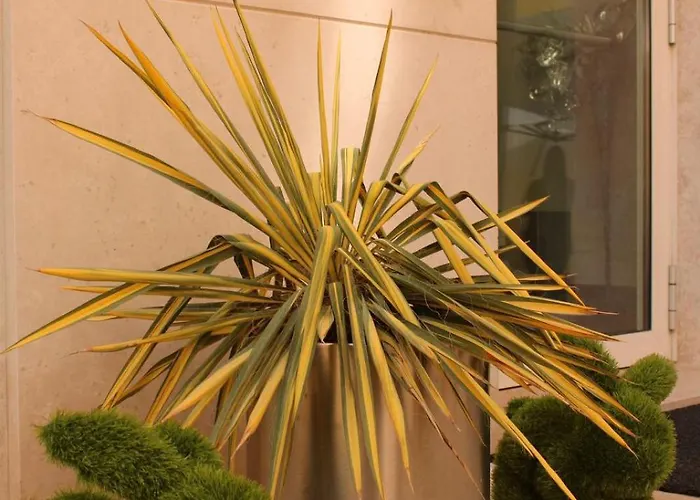 Residenza Agnello D'oro Bussolengo